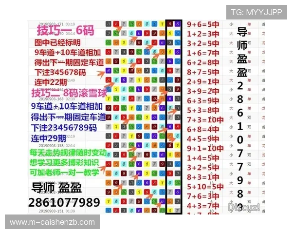 揭秘幸运飞艇规律与技巧 揭开极速赛车背后的奥秘与真相