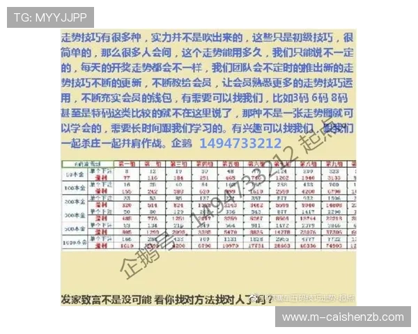 北京贫PK10计划最新动态全面解析与实用投注技巧分享 北京贫PK10计划最新动态全面解析与实用投注技巧分享